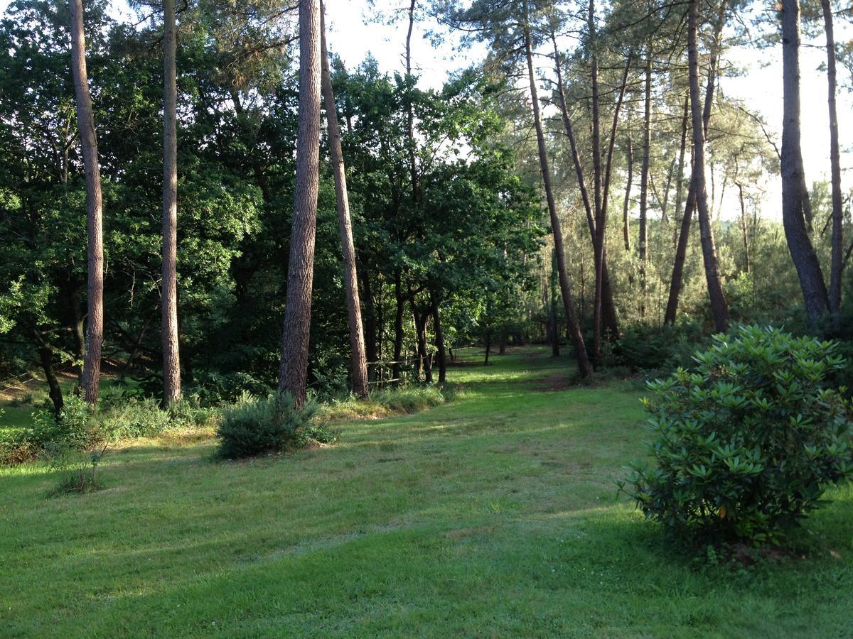 Bed and Breakfast L'Hippocampe Serent Экстерьер фото