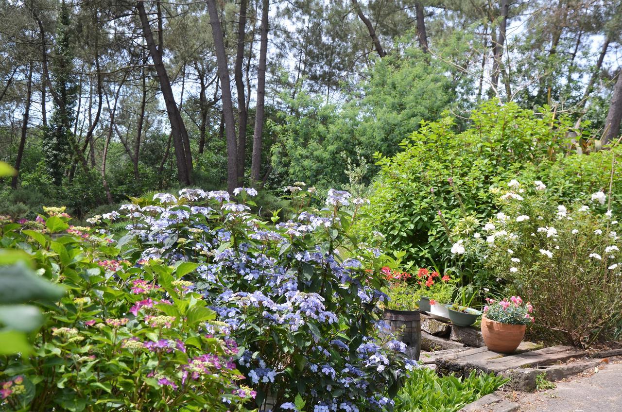 Bed and Breakfast L'Hippocampe Serent Экстерьер фото